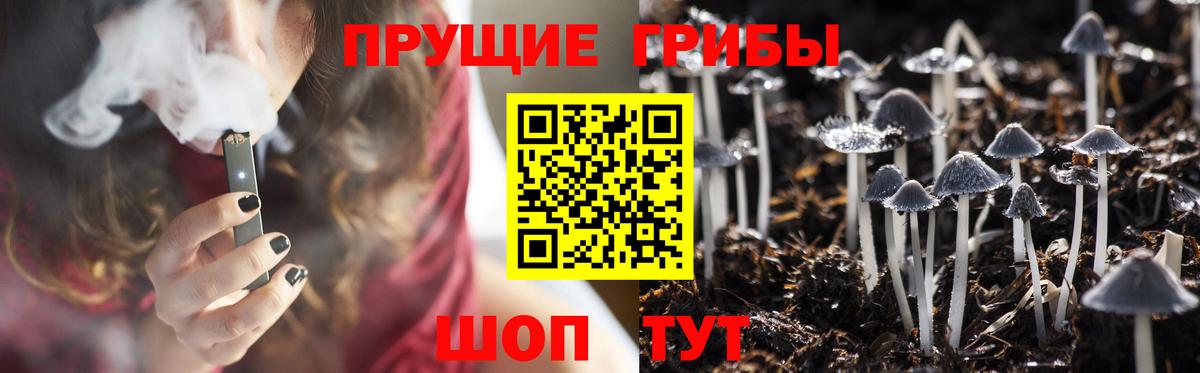 Псилоцибиновые грибы мухоморы Сызрань